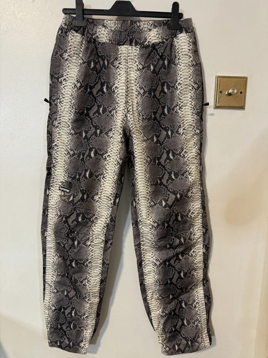 Supreme north face 2025 snakeskin pants