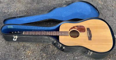 gibson dreadnought case