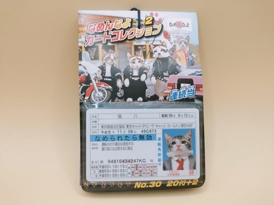 Namen-nayo Nameneko License Card Collection 2 – Random 1/40