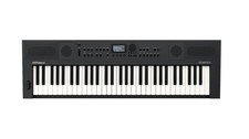 Roland Go:Keys 5 Graphite