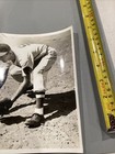 Williams In Action Catch Fielding Position Syracuse Chiefs Vintage Photo — photo 6