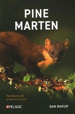 Pine Marten: The Secret Life of Martes martes (Pelagic Monographs)