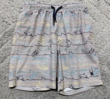 Spyder Swim Boys Small 7/8 Swim Trunks Blue and Gray