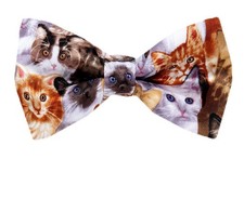 PBTN-208 - Cats Pre Tied Bow Tie