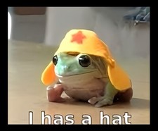 I Has A Hat Smiling Frog Little Pet Hat Happy Love Refrigerator Fridge MAGNET