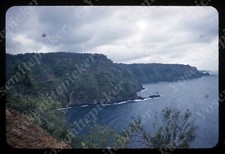 SL97 Original Slide 1950&rsquo;s Red Kodachrome Molokai  forest on cliff 471a