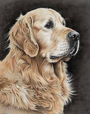 Golden Retriever Dog Diamond Painting, 5D Full Round Drill Cute Dog Diamond Pain