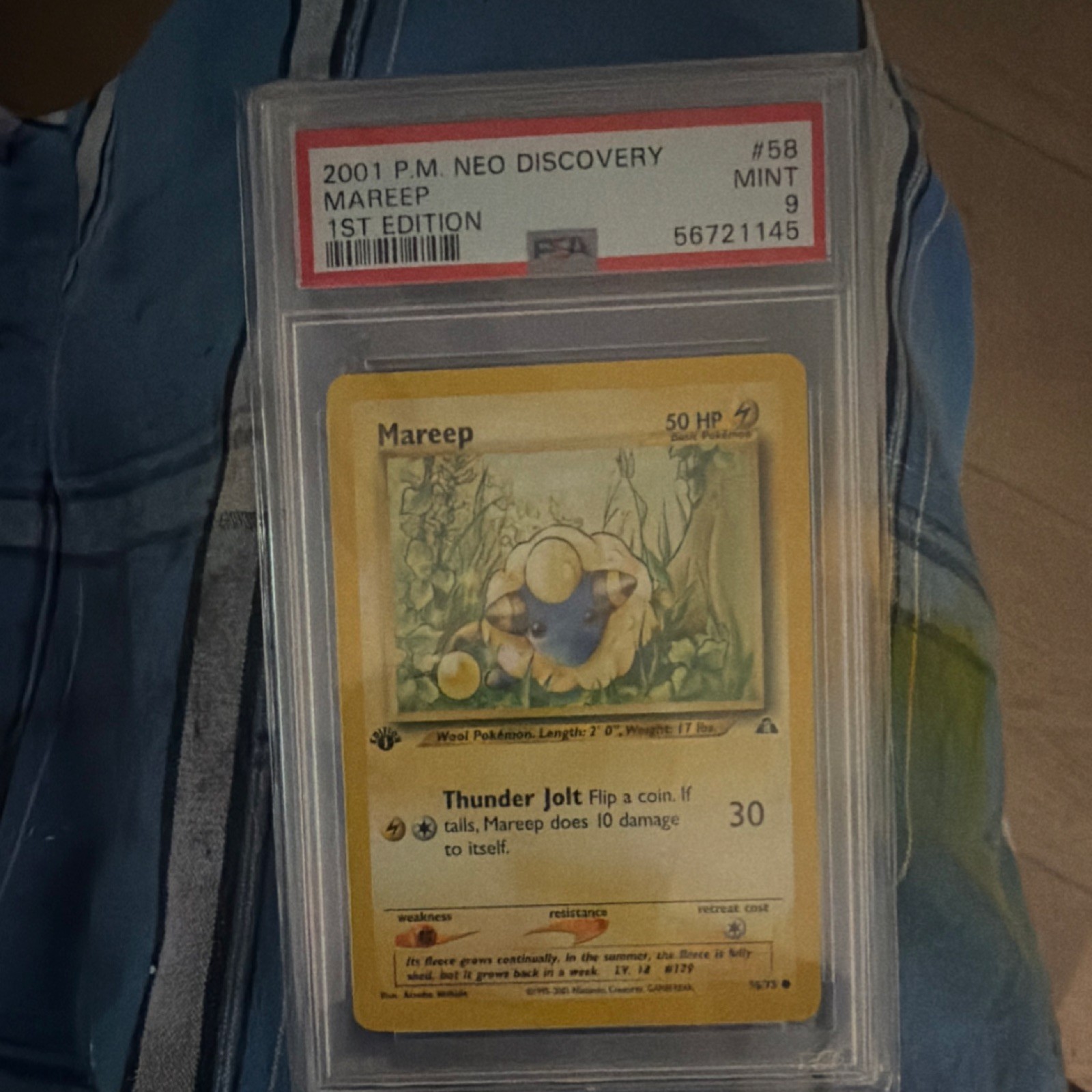 Pokémon Mareep 58/75 Neo Discovery 1st Edition Regular Common PSA 9 2001
