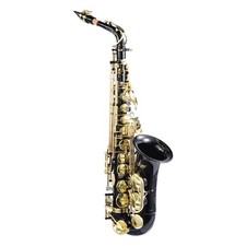 Professional Golden Alto Saxophone Brass Engraved with Case  Accessories