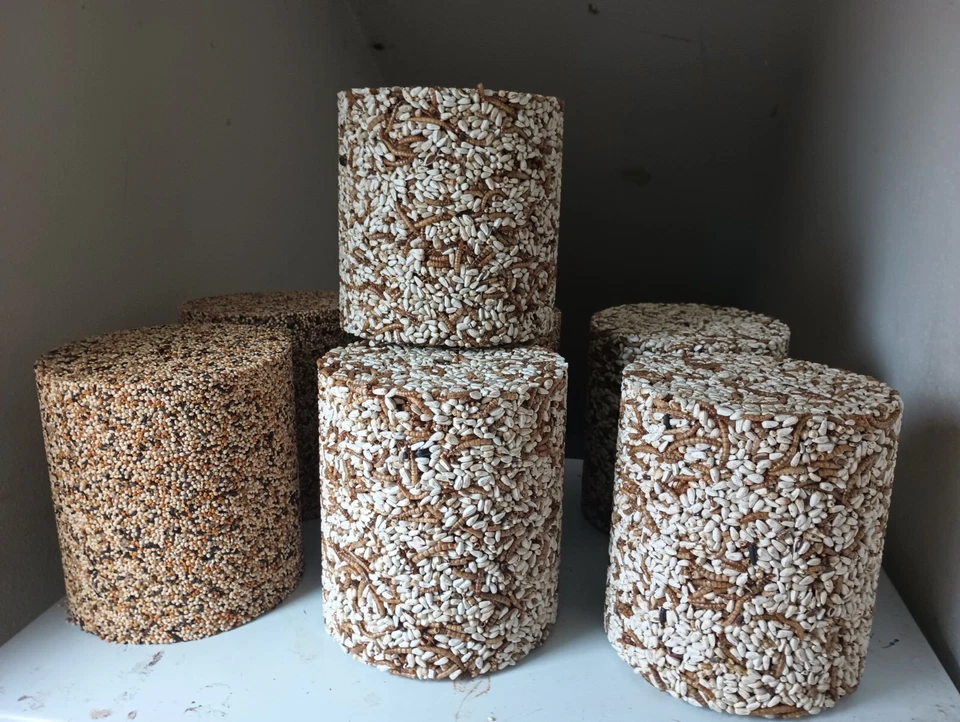 ¡Kit de molde de tronco de semillas grande! ¡Haz tus propios troncos de semillas increíbles para alimentar a los pájaros! Foto 3 de 4