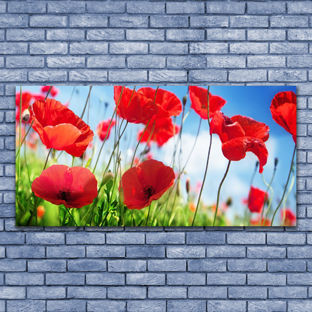 Tableau sous verre Coquelicots 140x70 cm pour raviver un mur sombre sans refaire la peinture