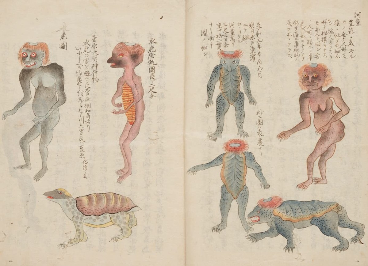 ミゾフチトヨコ 本画・モンスター YOKAI Japanese Monster Mononoke Koichi Yumoto English/Japanese | eBay