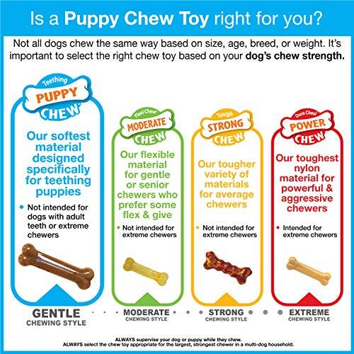 Nylabone Puppy Starter Kit Chew Toys Bundle for Teething Pups Under 25lbs