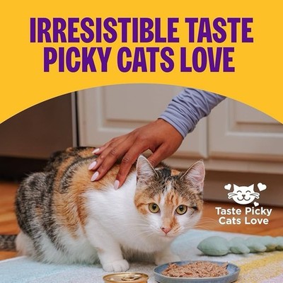 Wellness Complete Health Grain Free Beef & Salmon Wet Cat Food 21Pack