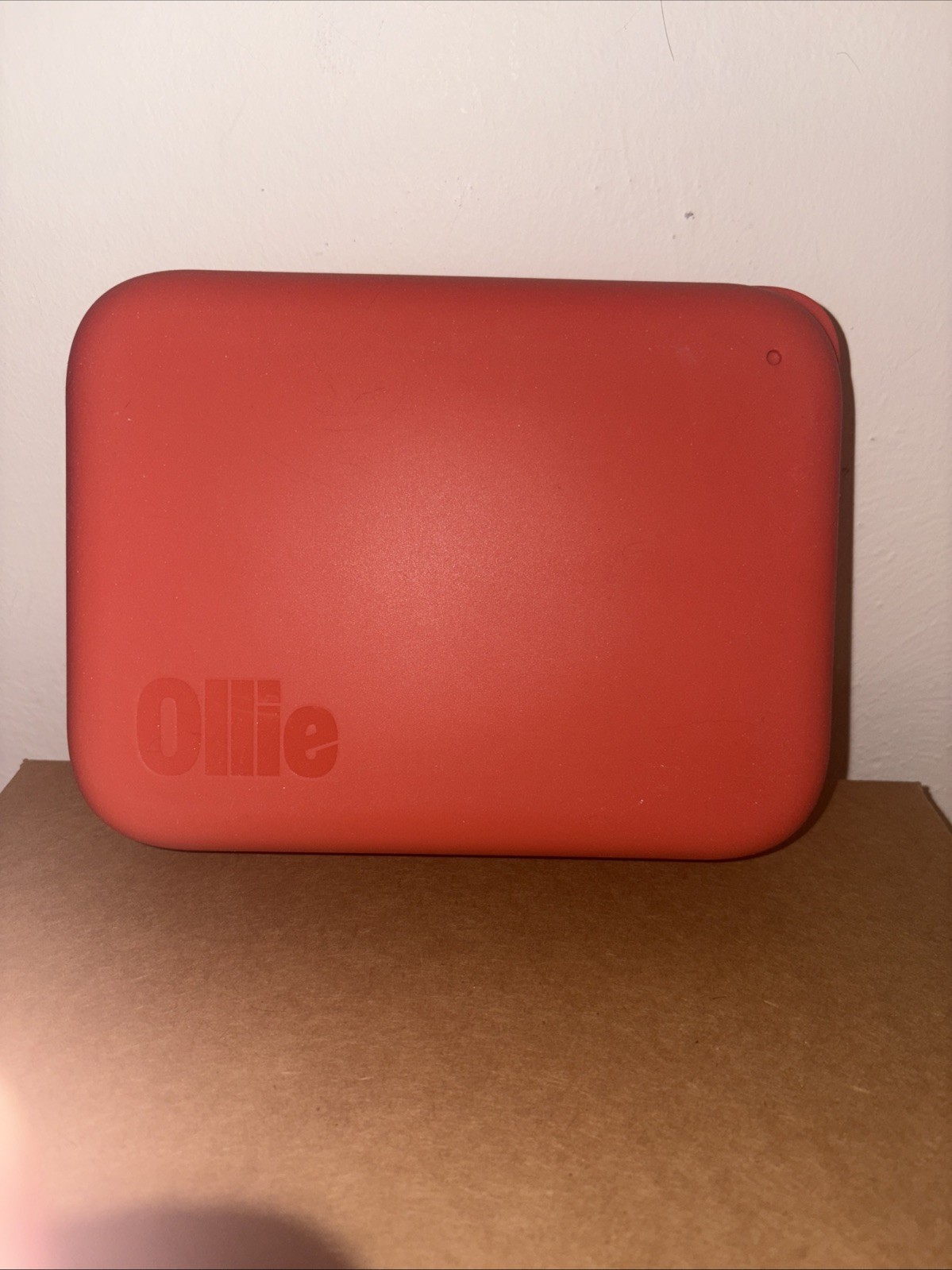 Storage Container With Scoop 7.98" L X 6" W Silicone