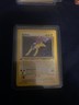Pokémon Neo Revelation 1st Edition Card Raikou 22/64 Regular