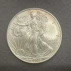 2008 Walking Liberty  American Eagle  1 oz. Fine Silver One Dollar. Toning