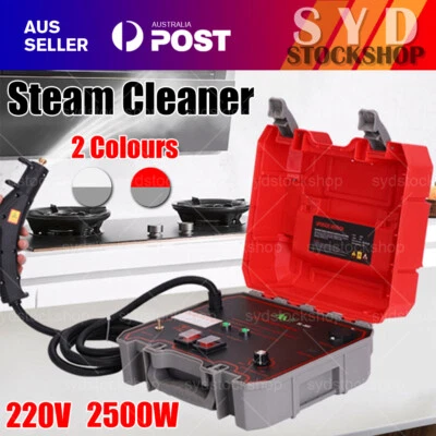 2500W Handheld Car Detailing Cleaning Machine High Temp Steam Cleaner Household - image 1 of 4