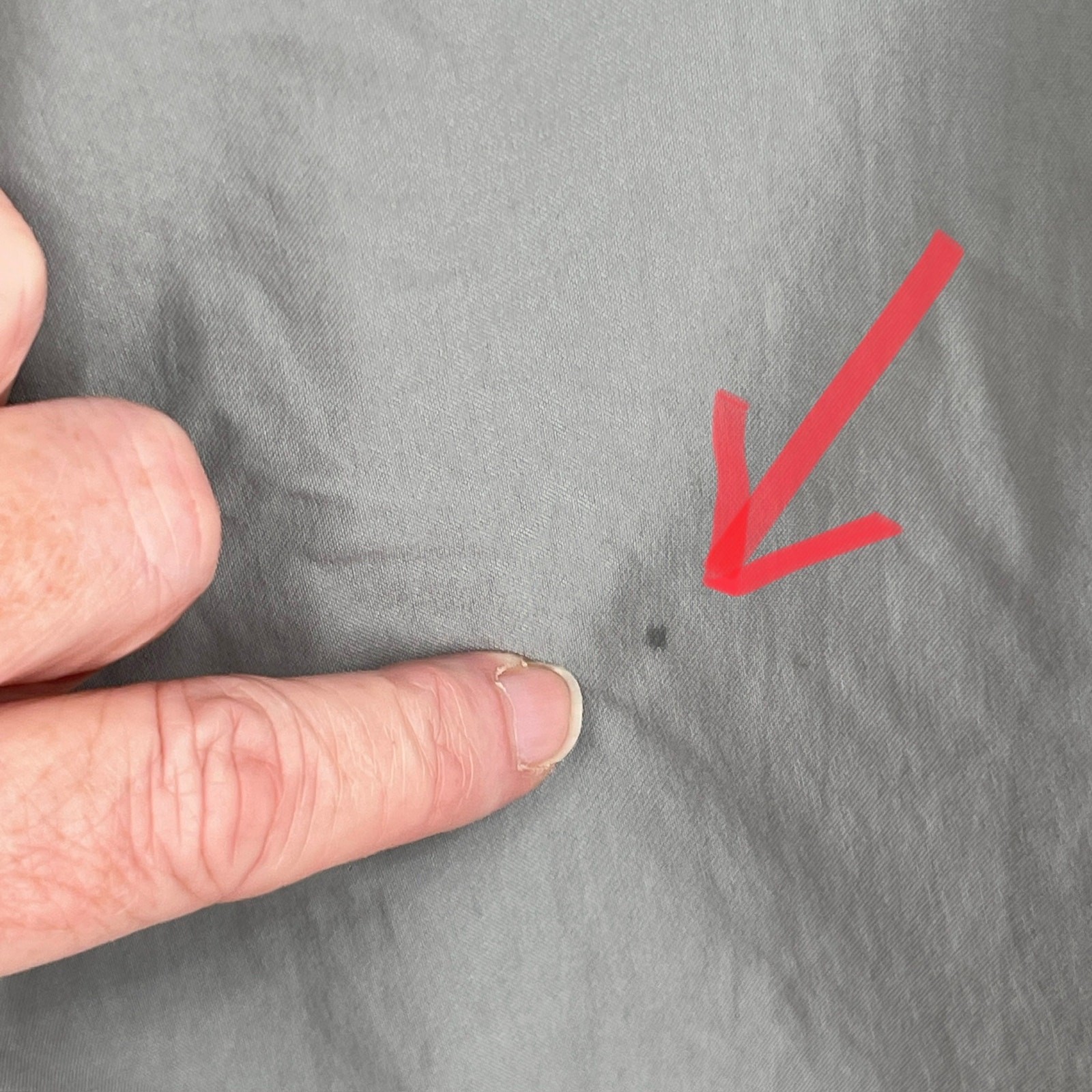 Patagonia Women's Loose Fit Convertible Low Cut Pants NEW Size 14 Bluish Gray  thumbnail 8