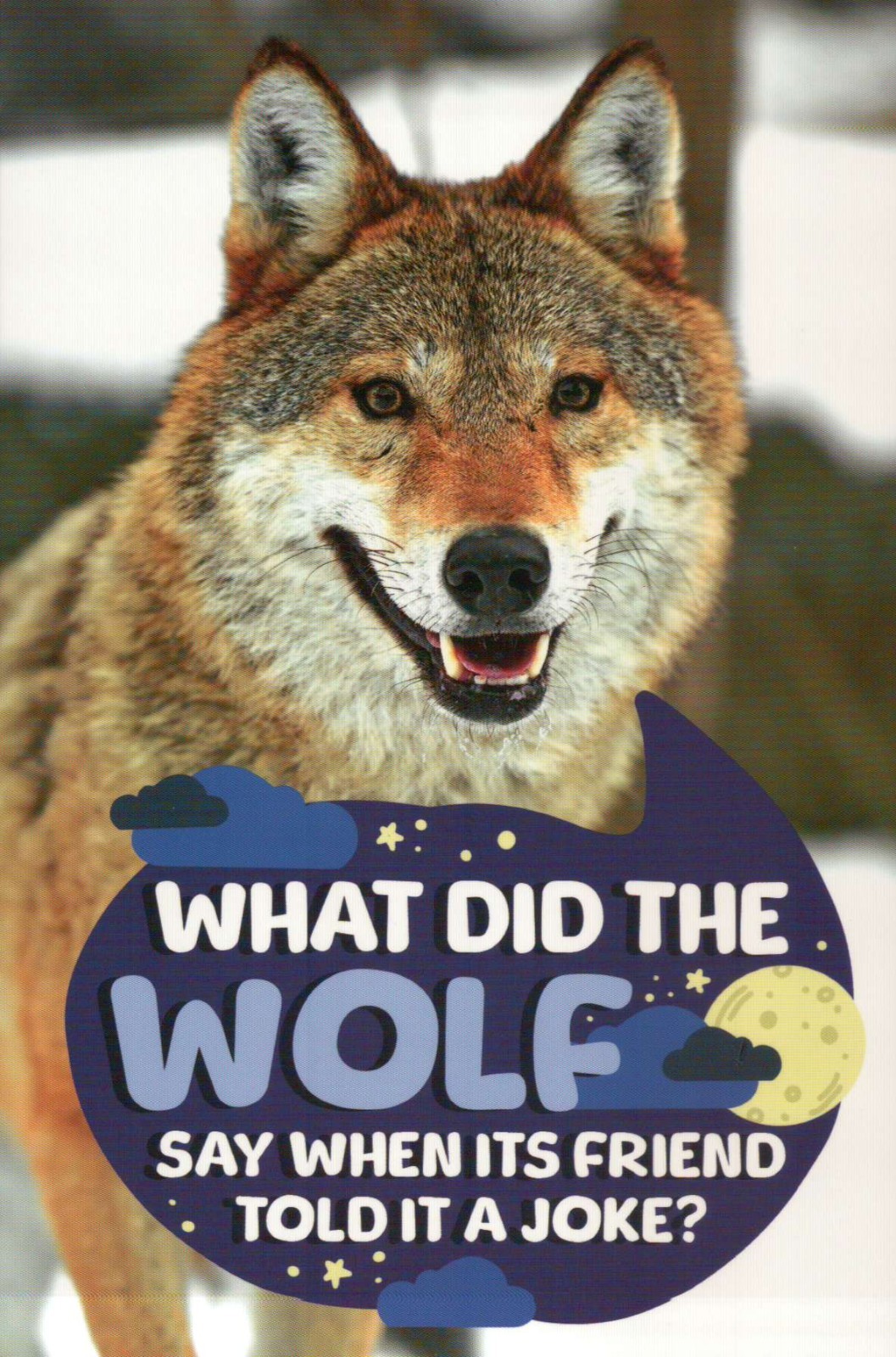 What Did The Wolf Say When ... ? Funny Animal PC With Joke --- Modern Postcard