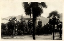 Ak Locarno Kanton Tessin Schweiz, Palmen, Viale delle Palme, ... - 4939641