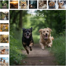 Gannyfer Calendar 2025-2026, July 2025 to December 2026,12" x 24" Opened, 18 ...