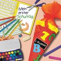20 Servietten Schultisch Einschulung Schulanfang ZuckertüTe Tischdeko 33X33Cm