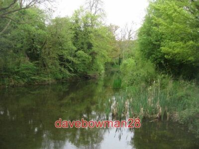 FOTO OBEN SCHÖN VERSTOPFTER KANAL BLICK AUF DEN BASINGSTOKE-KANAL ÖSTLICH VON SLADES BRID
