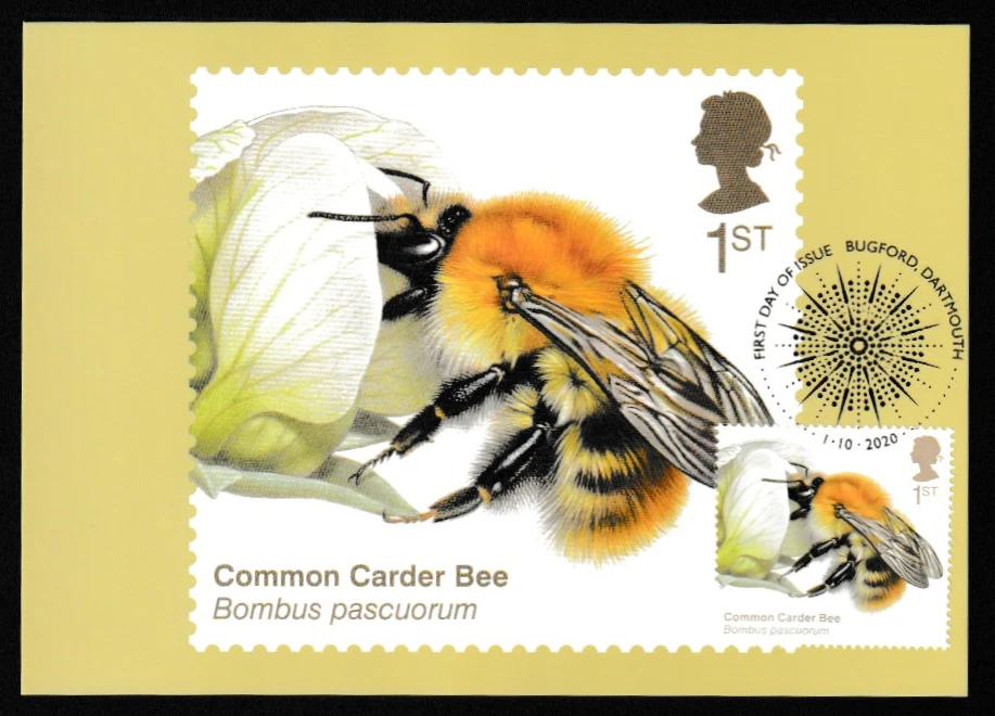 2019 - 2022 PHQ's RELATED VARIOUS FRONT HANDSTAMPS. SOLD INDIVIDUALLY REDUCED!!! - Image 3 of 4