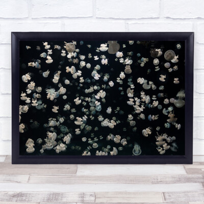 Just some Gelees Fisch Gelee Unterwasser Wasser Medusa verpackt dunkel niedrig Kunstdruck