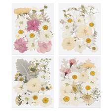 80 Pcs Dried Pressed Flower Leaves Bulk for Resin, White Colors