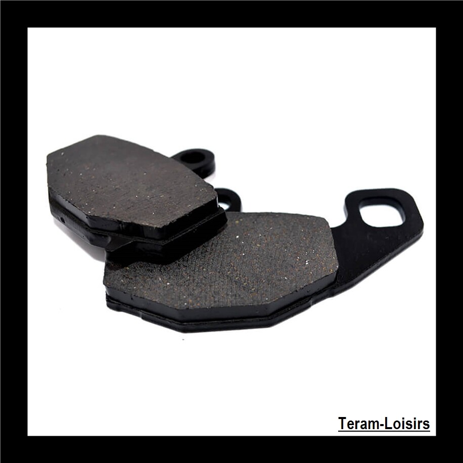 Plaquettes de frein arrière pour Kawasaki ZX6R 636 ans 1995 à 2016 en composite organique de 9mm
