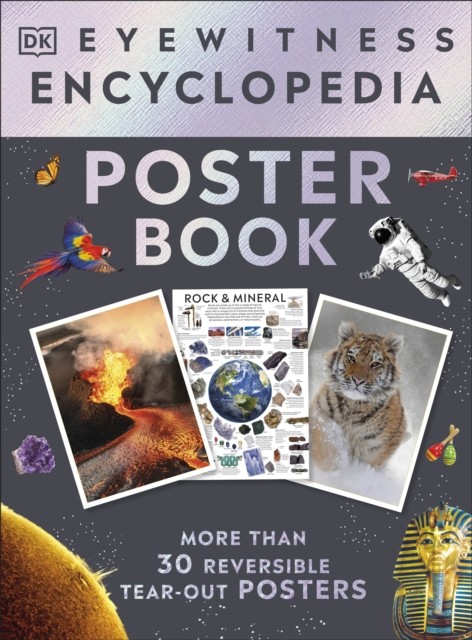 Eyewitness Encyclopedia Poster Book : More Than 30 Reversible Tear-Out Posters Dk - Image 7