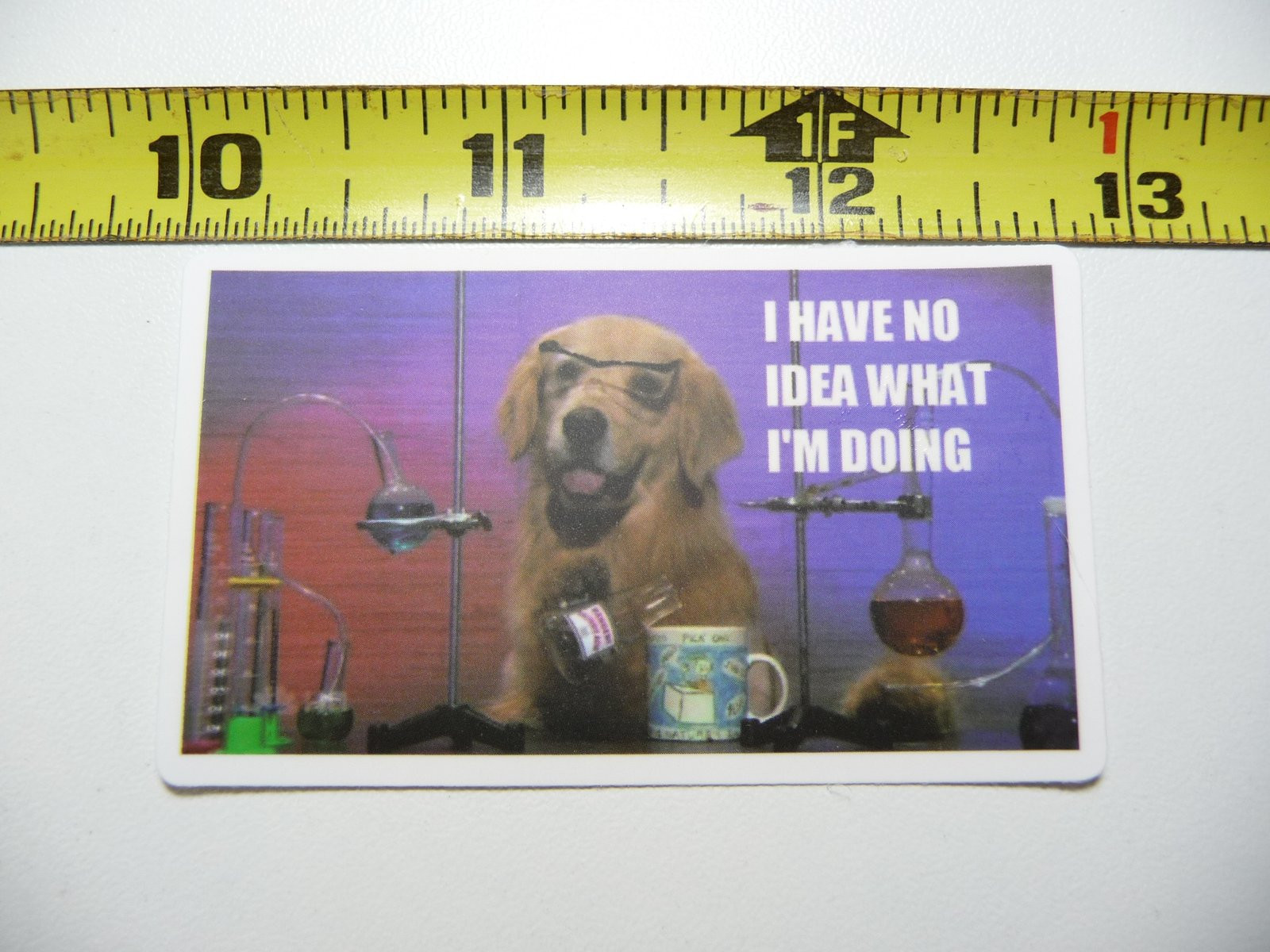 Humorous Labrador Retriever Lab Decal Sticker for School Teacher Prof Science Theme