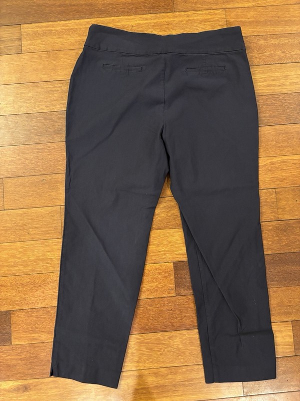 Charter Club Cambridge Skinny Blue Stretch Waist Size 18