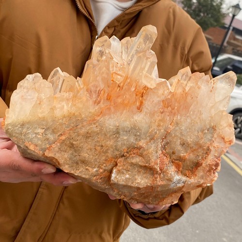 17.61LB Natural White Clear Quartz Mineral Specimen Crystal Cluster Reiki Decor - 第 11/12 張圖片