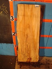 8898 2 3/8" THICK spalted maple live edge slab