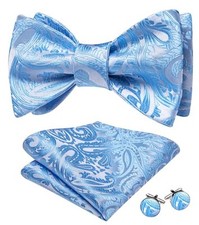 Bow Ties for Men Paisley Self Tie Bowtie Pocket Square Cufflinks Baby Blue a
