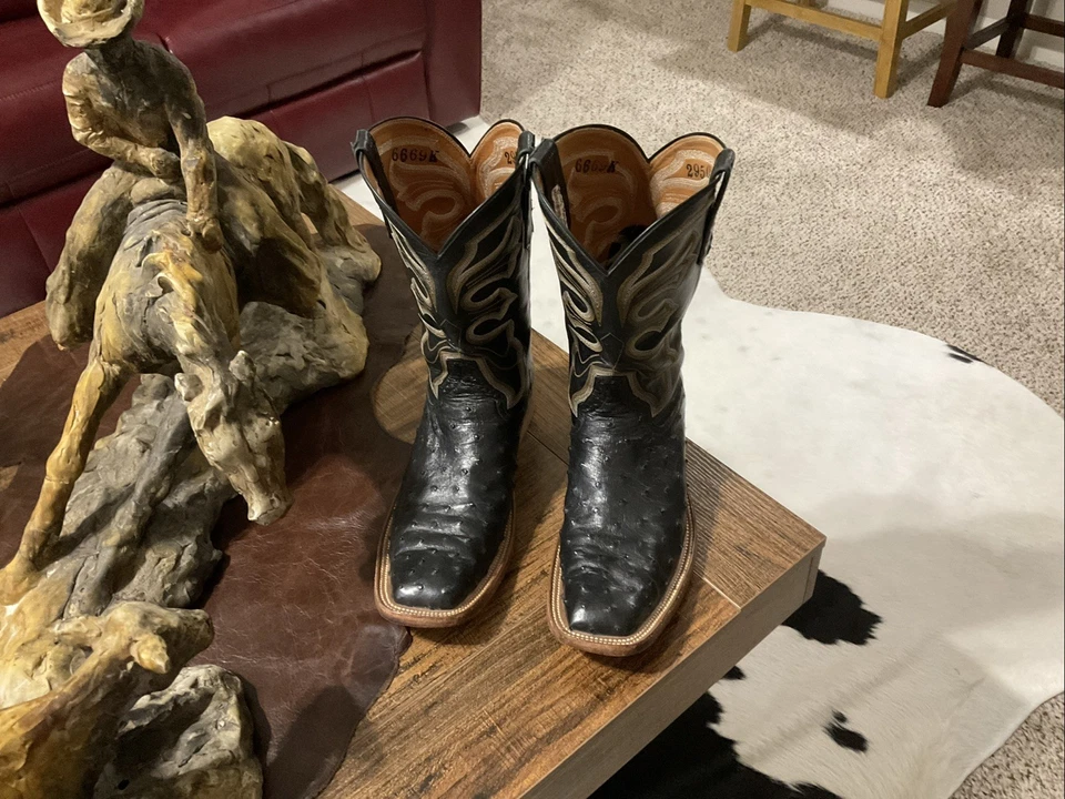 Rios of Mercedes черный страус 10 B - Изображение 3 из 4