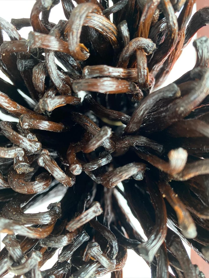 Polvo de vainilla orgánico FairTrade Madagascar grado A - Beneficios caridad Foto 4 de 4