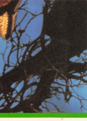 1984 Topps Michael Jackson Sticker #59 Michael Jackson ⭐ | eBay