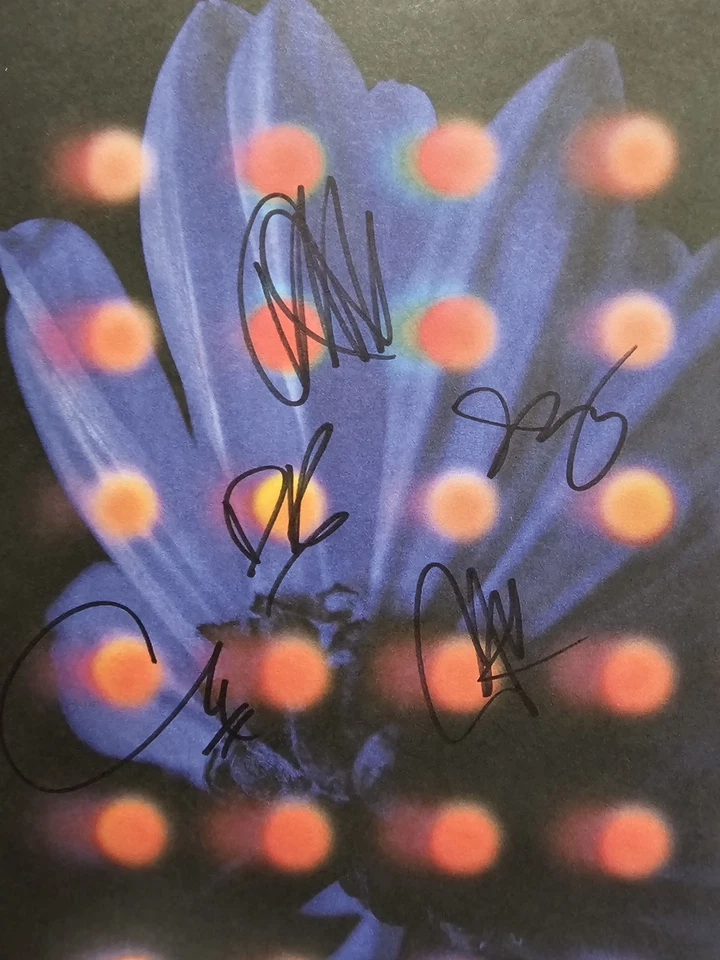 Anberlin Nevertake Grey Marble Signed Autographed Vinyl LP IN HAND Sold out - Imagem 2 de 3
