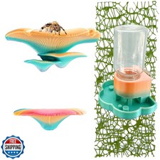 5Pcs Jumping Spider Accessories Set, Jumping Spider Enclosure Mushroom And Wa