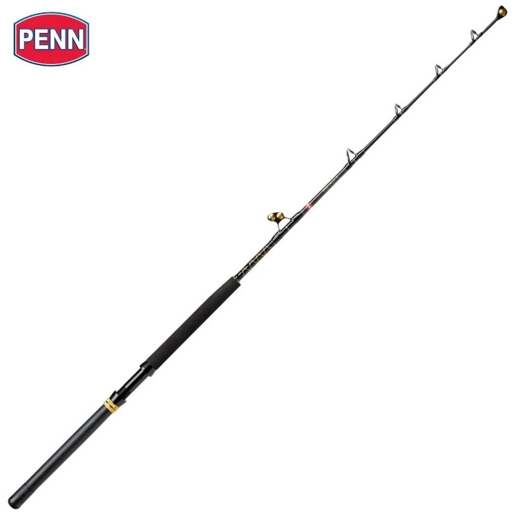 PENN Drifting And Trolling Big Game Fishing Rod SQUALL II 1.68m/60-130lb
Opens in a new window or ta