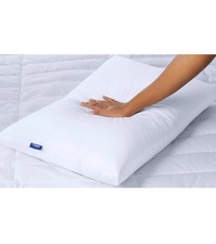 The Casper Down Bed Pillow - Standard