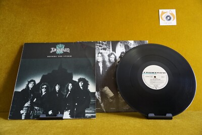 Domain - Before The Storm 1989 Hard Rock 246 289-1 Schallplatte Vinyl LP OIS