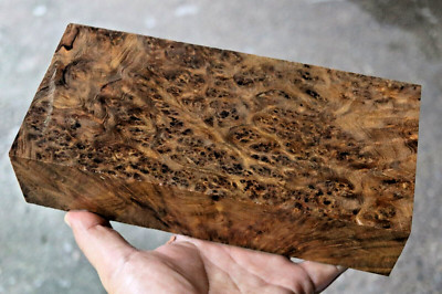 Malayan Teak Burl Exotic Wood Block 4×8 ×2'' #737