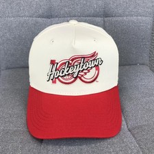 Detroit Red Wings Collecting and Fan Guide 13