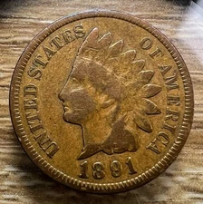 1891 Indian Head Cent - Actual Coin Shown - Free Shipping & Tracking INV#67