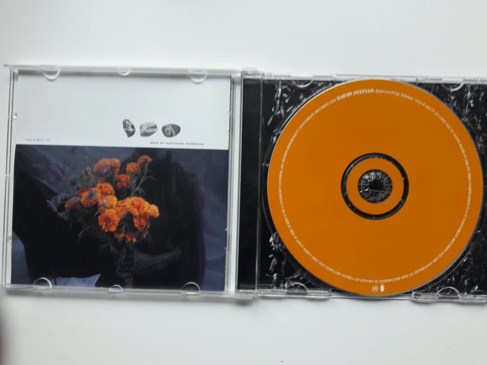 CD - David Sylvian - approaching silence - Bild 2 von 3